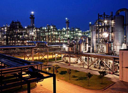 11.28-.jpg 11.28-.jpg